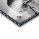 Monarch of the Savannah Acrylic print