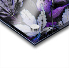 Abstract Acer Leaves in Blue and Purple Acrylic print