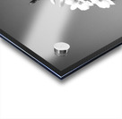 Purple Dendrobium Orchids X12 1 Acrylic print