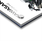 Kawasaki Ninja H22 Acrylic print
