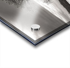 One Lone Cypress  Tree Silhouette Acrylic print