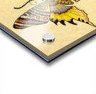 1904 Butterfly Art Acrylic print