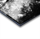 Summers Nature Path in the Scottish Highlands in Black and White Acrylic print