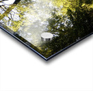 Summers Nature Path Too in the Scottish Highlands Acrylic print