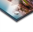 Lehigh Parkway Footbridge Below Acrylic print