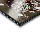 IMG 3285 Acrylic print