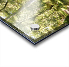 Scottish Highlands Summer Forest Scene Acrylic print