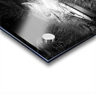 Everyday Lifes Moments- High and Dry in Black and White Acrylic print