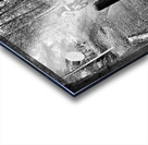 Everyday Lifes Moments- The Trails Await Acrylic print