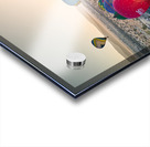 Desert Hot Air Balloon Festival At Sunrise Acrylic print