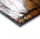 Golden Colors of Autumn Acrylic print