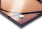 Bird Silhouette Sunset Acrylic print