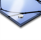 Bird Silhouette Light Blue Acrylic print