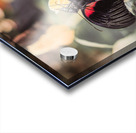 Scarlet Mormon Butterfly Acrylic print