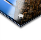 Juvenile Sharp Shinned Hawk Peaking Acrylic print