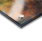 The Path and the Stream 7 Acrylic print