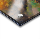 The Path and the Stream 8 Acrylic print