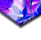 Abstract Neon Purple and Blue Creative Leaves  Acrylic print