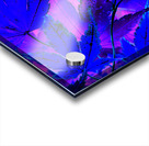 Abstract Vivid Creative Leaves Acrylic print