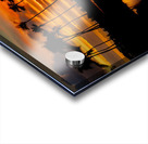 Why Koloa  Acrylic print