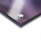  Moonlight  Hilltop Tree Perfection Acrylic print