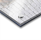 Catrina Del Alba - Catrina Of The Dawn - Dia de los Muertos Art Prints Acrylic print