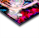 Tiger à Lunette master Impression Acrylique