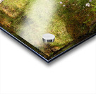 Scenes from the Trail  Nature s Pallette in the S Acrylic print