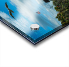 Seagull Flies Near Watch Hill Lighthouse in Rhode Island Acrylic print