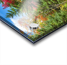 A Dirt Road Less Travelled Acrylic print