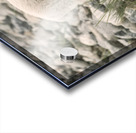 The Innocence of a Baby White Goat: Stunning Photography Acrylic print