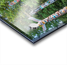 Stanley Park Totem Poles in Vancouver Acrylic print