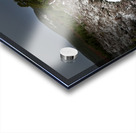 Scenes from the Trail- Snowy Path Acrylic print