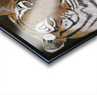 Beat the Heat Impression Acrylique