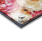 Peonies Illustrated Acrylic print