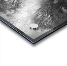 Winters Frosty Embrace for the Scottish Highlands Acrylic print