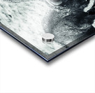 Battle for Hayden Valley B&W Acrylic print