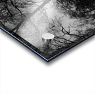  Winters Light and Shadow in the Scottish Highlands Acrylic print