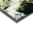 Forests Light and Shadow Play in the Scottish Highlands  Acrylic print