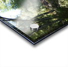 Natures Adventure Path in the Scottish Highlands Acrylic print