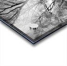 Winters Frosty Beauty in the Scottish Highlands in Black and White Acrylic print