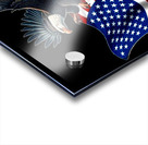 2. Emblems of Triumph: Where Glory Meets Freedom Acrylic print