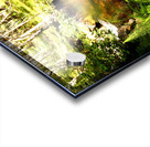 A Secret Summers Retreat in the Scottish Highland Acrylic print