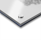 Birch Tree Winter White Out in the Scottish Highl Acrylic print