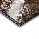 Winter Came Early to the Scottish HIghlands  Acrylic print