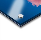 Flying Squid Acrylic print