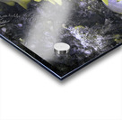 Frowsty Acrylic print