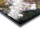 Dehydrator Acrylic print