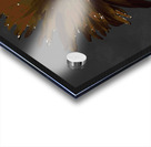 Abstract Dark Pink Daisy on a Dark Abstract Background Acrylic print