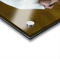 PawelKuczynski60 Acrylic print